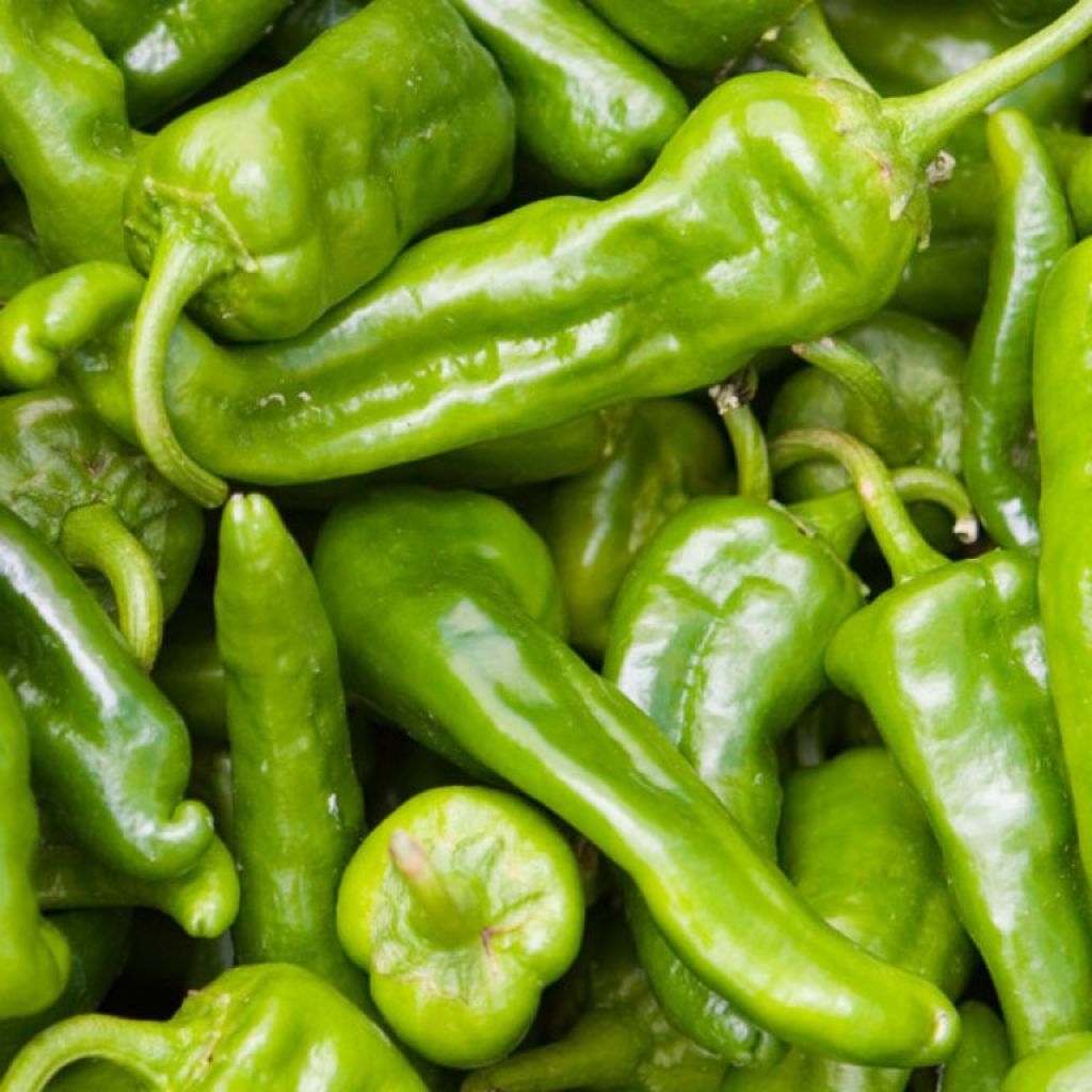 Peperone piccante cornetto