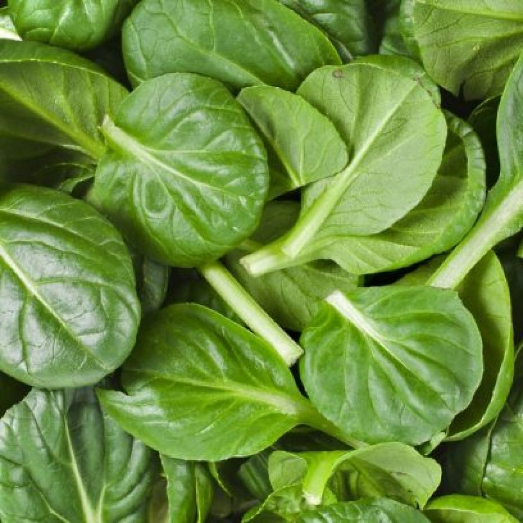 Spinach