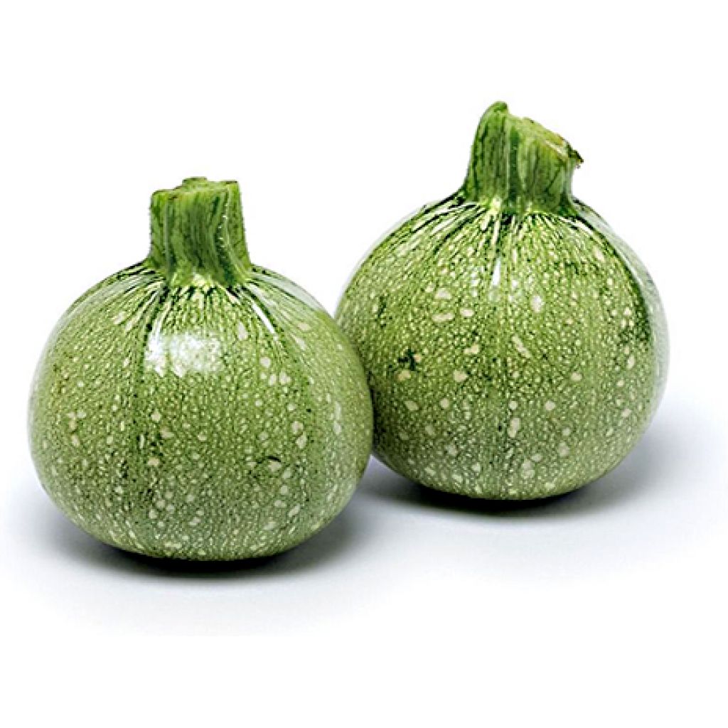 Zucchine tonde