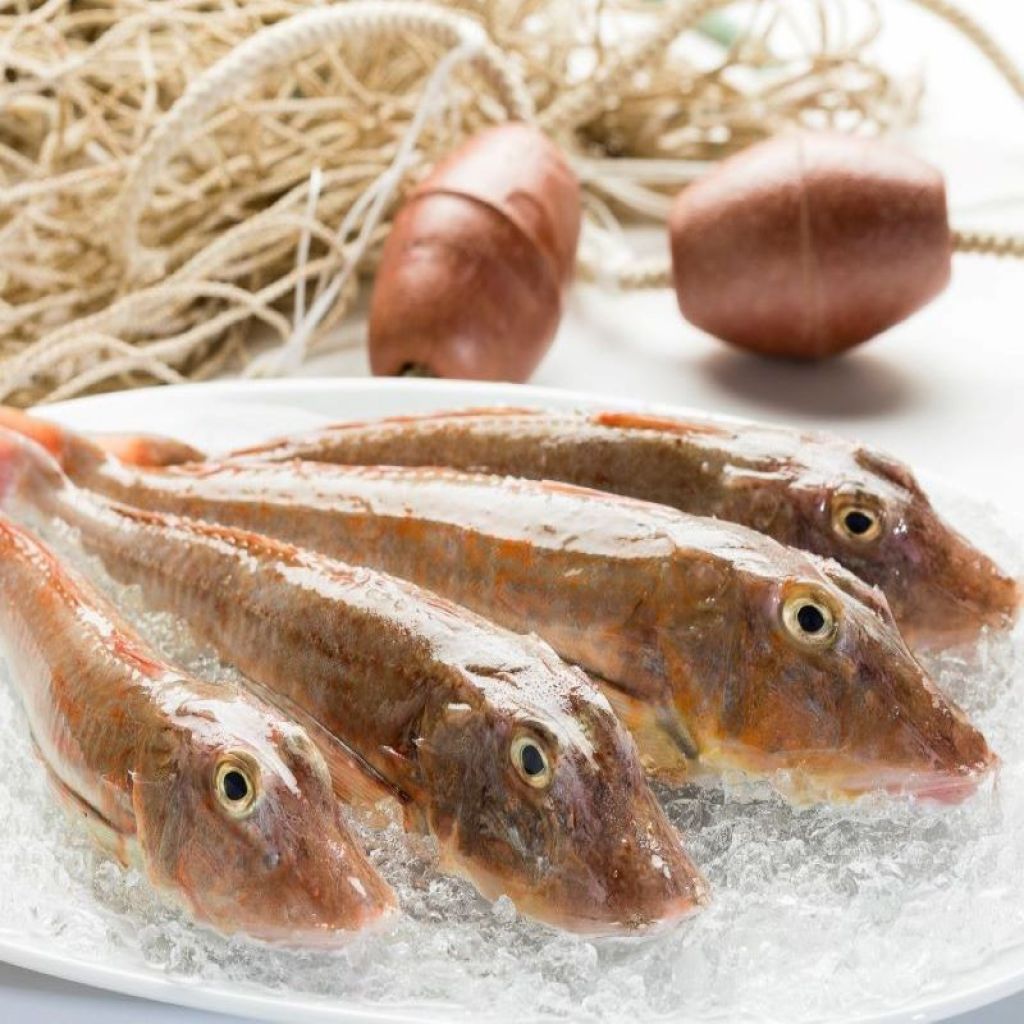 GALLINELLA KG 1 (PULITO KG 0,8)