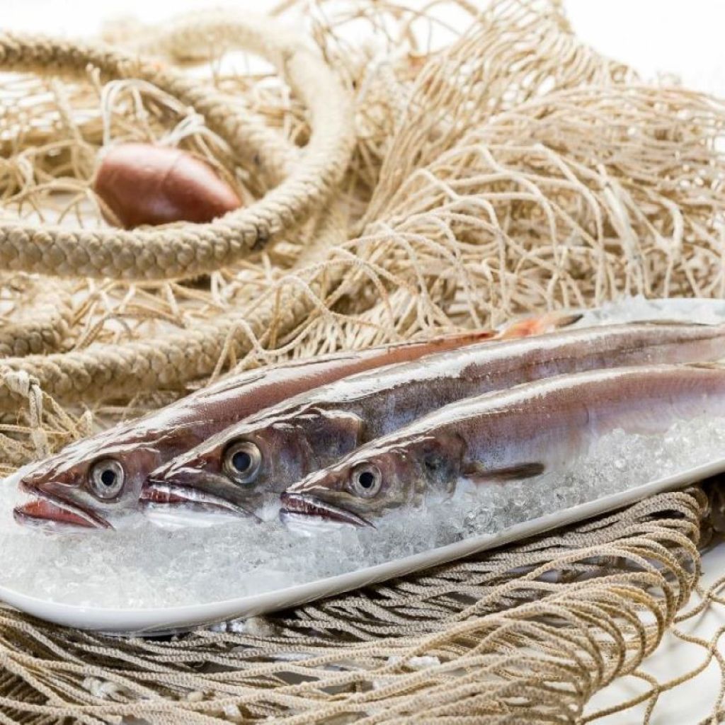 COD 1 KG (CLEAN 0.8 KG)