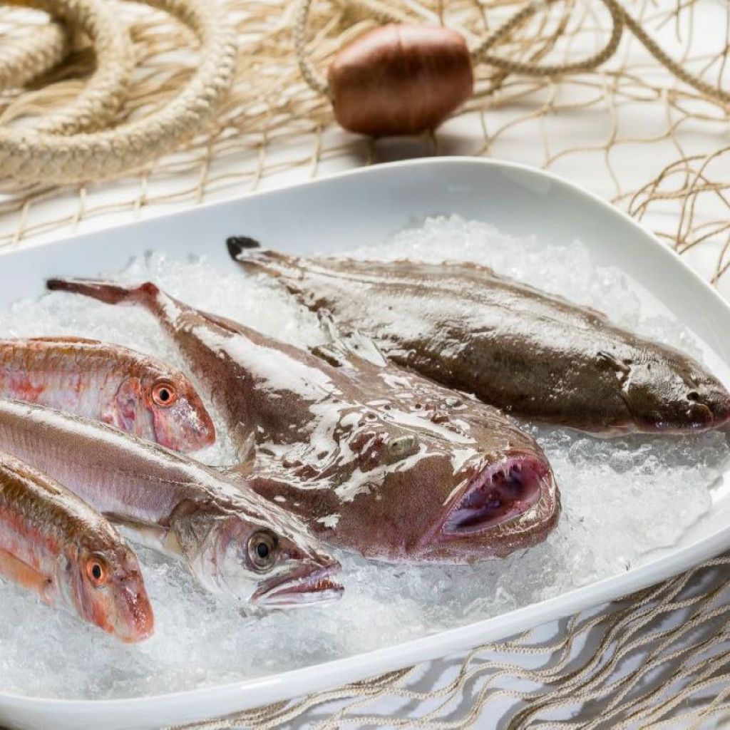 GRILLED MIX KG 2 (CLEAN KG 1.6)