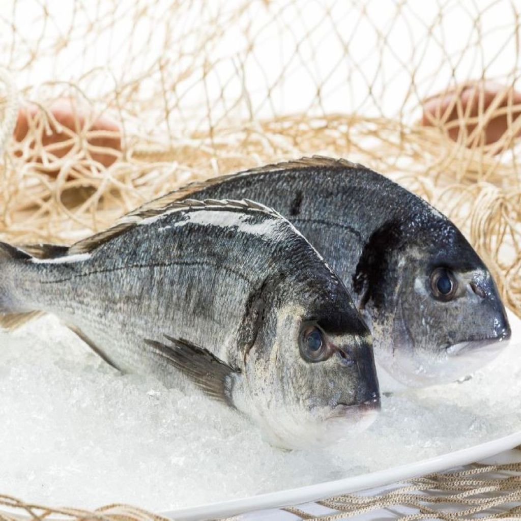SEA BREAM 1 KG (CLEAN 0.8 KG)