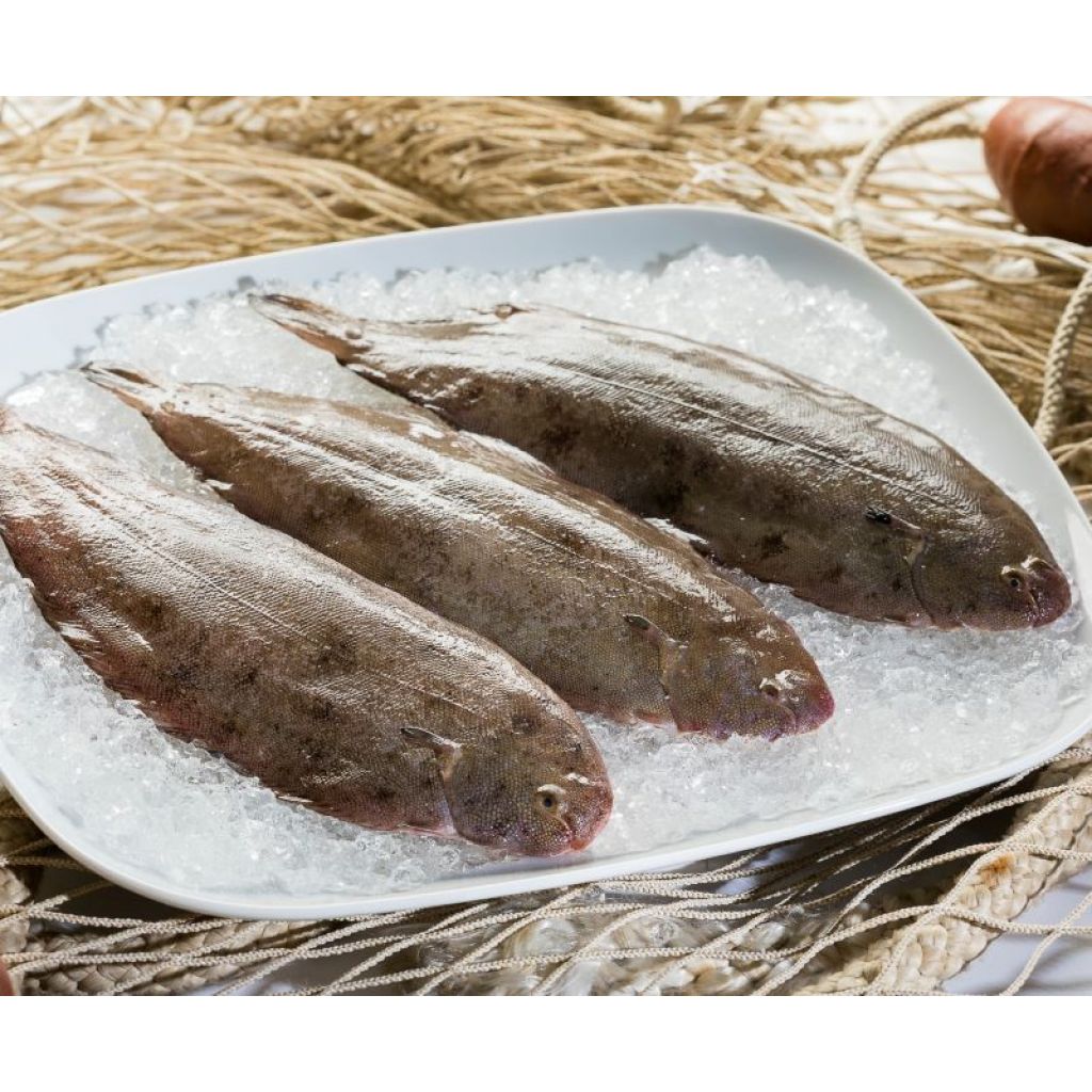 SOLE KG 1 (CLEAN KG 0,8)