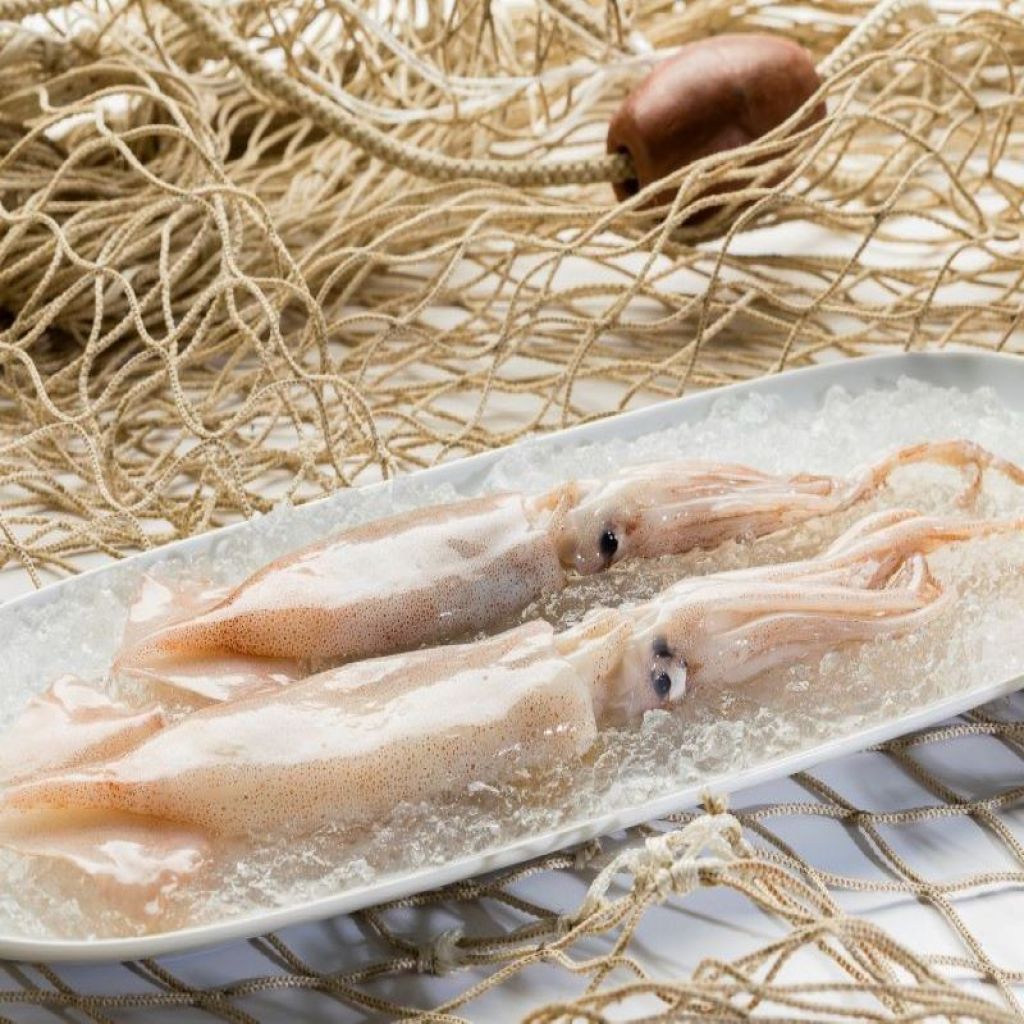 TOTAN KG 1 (CLEAN KG 0.75)