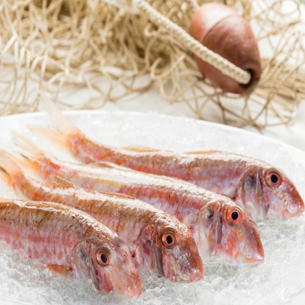 Mullet Kg 1 (clean Kg 0.8)