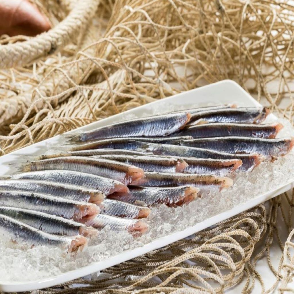 TRUNK OF ANCHOVIES KG 1