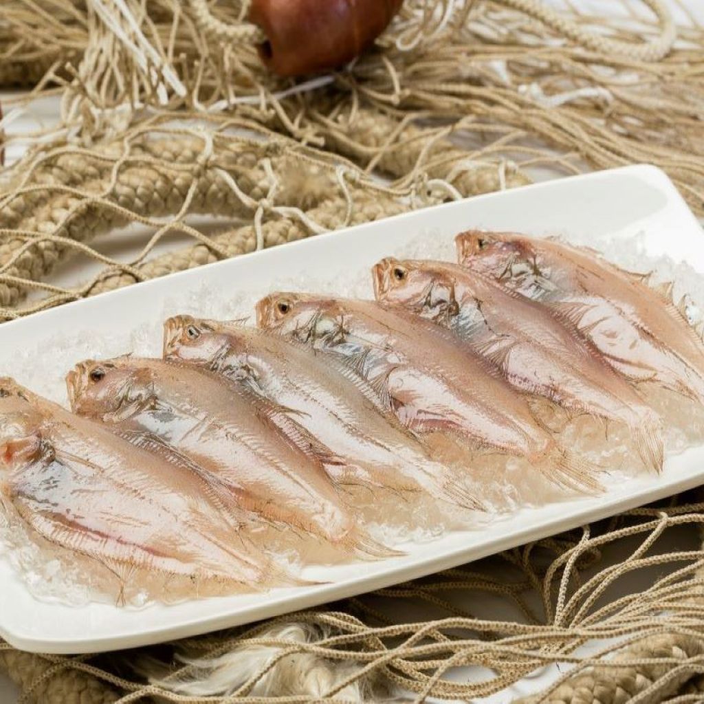 ZANCHETTA KG 1 (CLEAN KG 0,8)