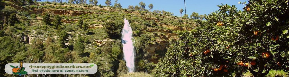 Azienda agricola Poggio Diana Ribera