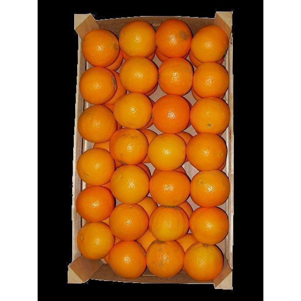 ARANCIA NATURALE II^ QUALITA' WASHINGTON NAVEL