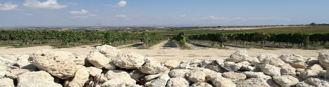 Ramaddini - Vignaioli a Marzamemi