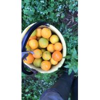 b466bd55dfdf449593d92d197faf4634