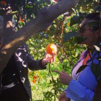 b6a86ff782c641378c1d1837deed07c7