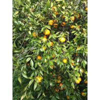 f2c4e777cba647138dad606d249dc774 1