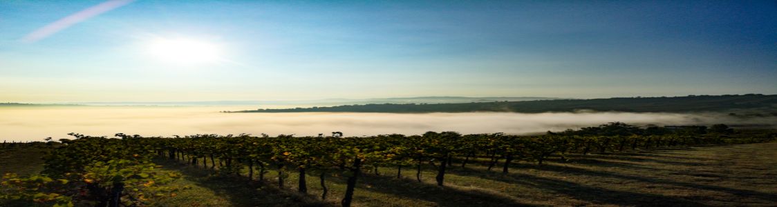 Tenuta Fornace Azienda Agricola Biologica