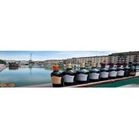 89867605_852417198607232_860860786426249216_o