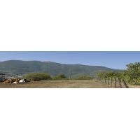 panoramica_senza_titolo1