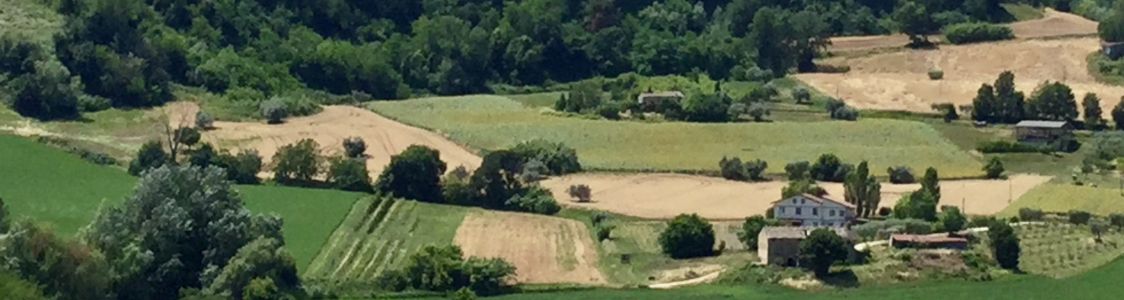 Azienda agrituristica &ldquo;Il pino solitario&rdquo;