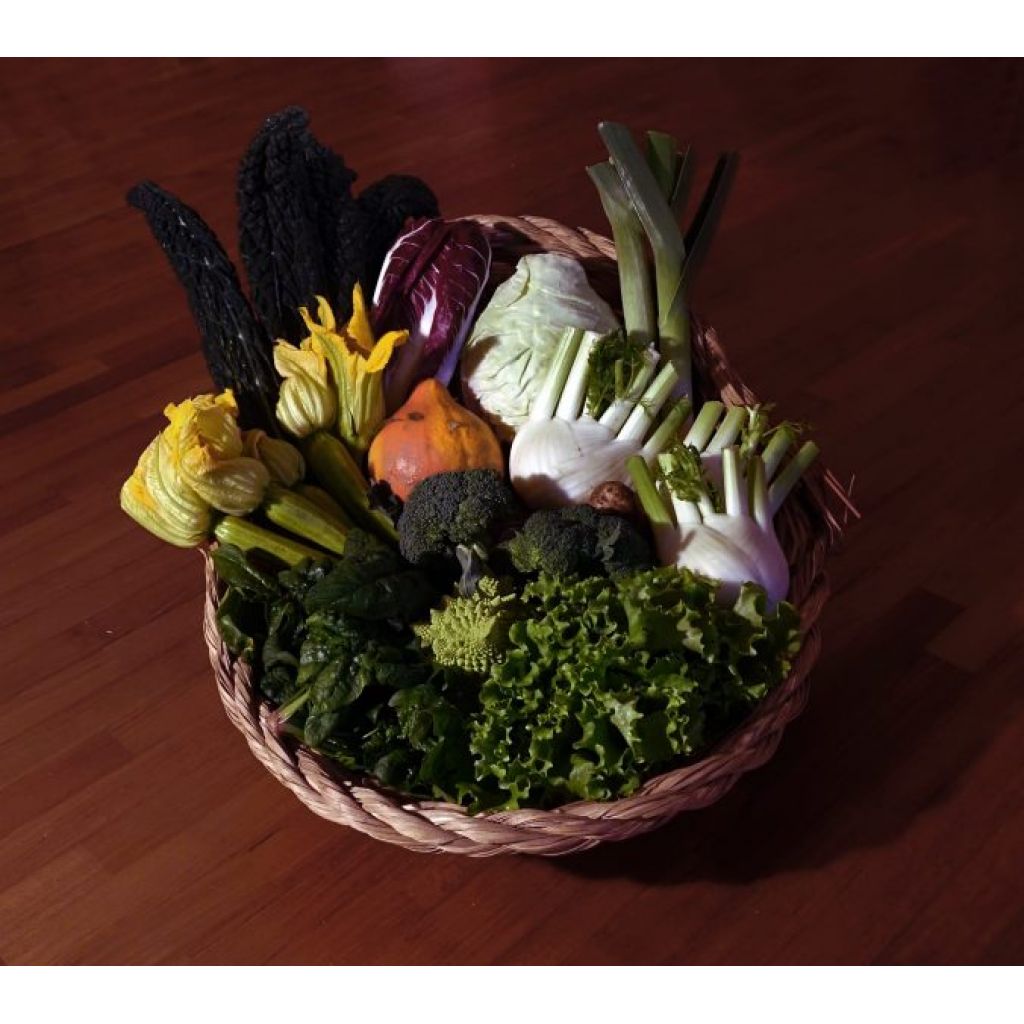 Cesto Verdura 9Kg
