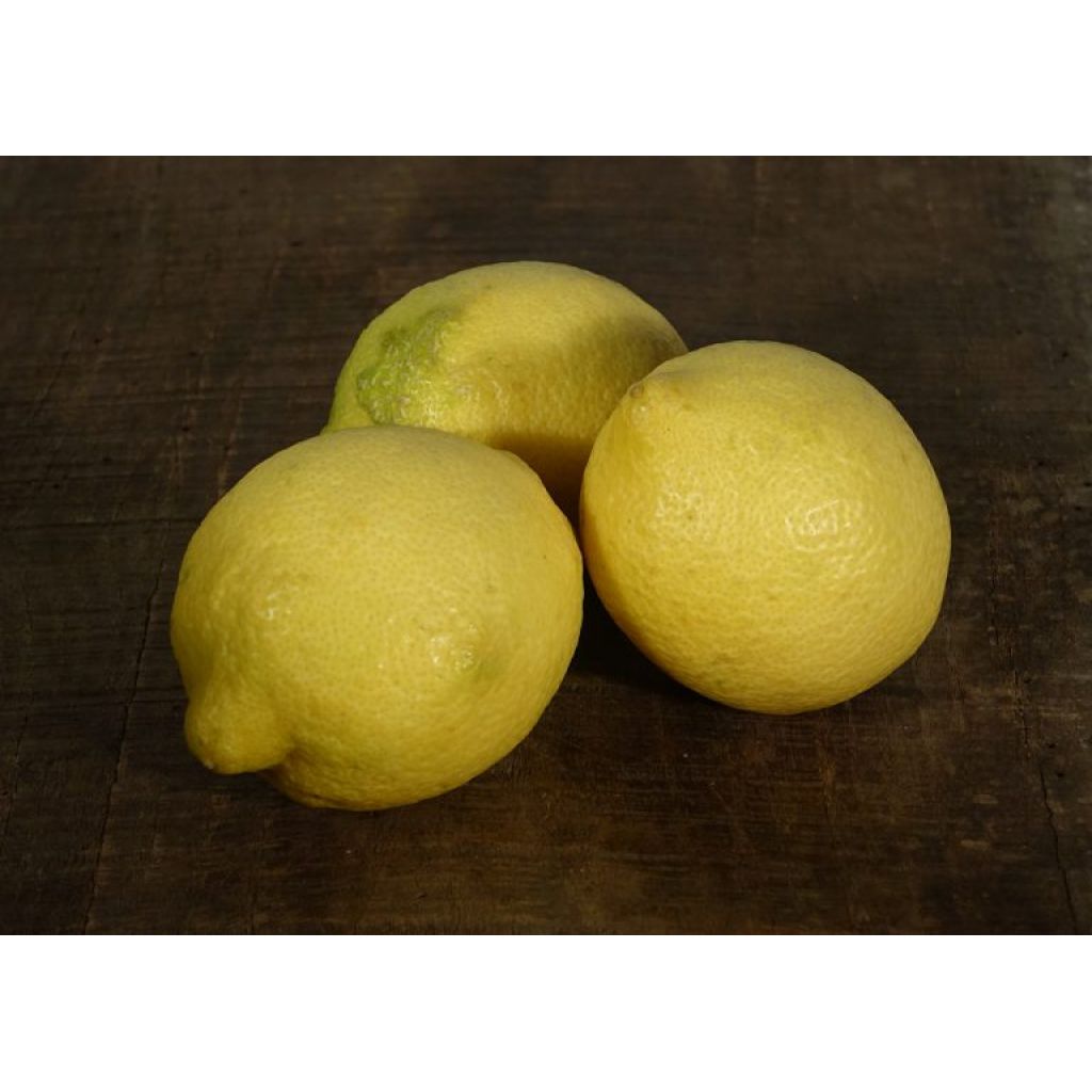 Limoni