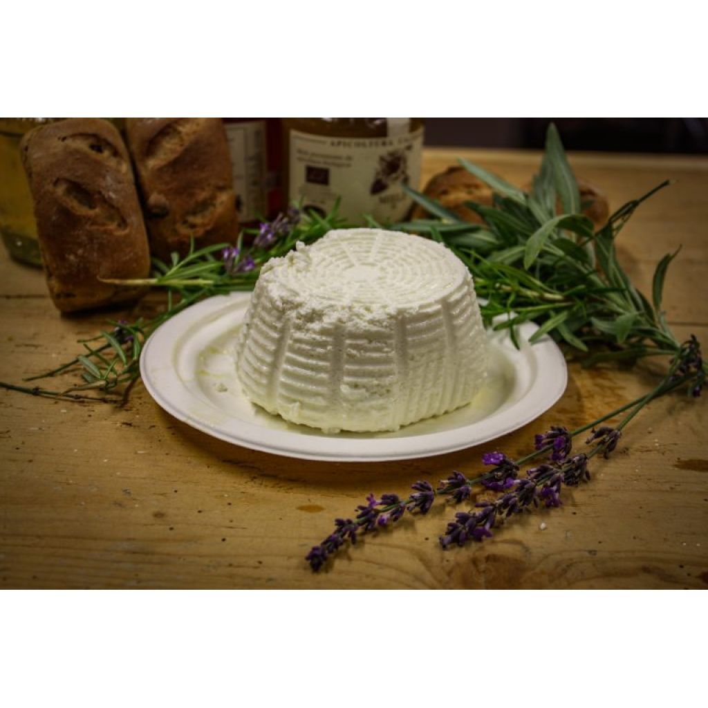 Ricotta