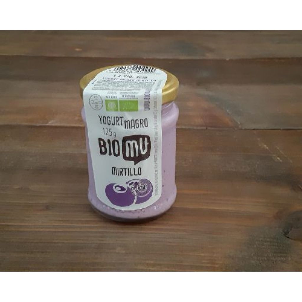 Yogurt mirtillo 125g