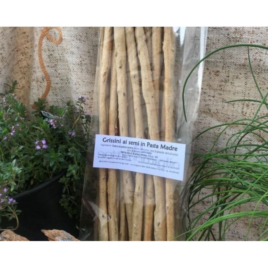 Grissini in pasta madre con i semi