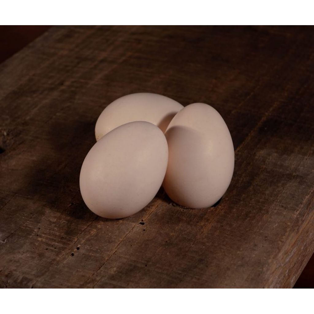 Uova bianche