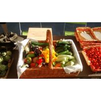 img_20160824_080338338