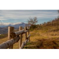 whatsapp image 20200202 at 22.05.53 2