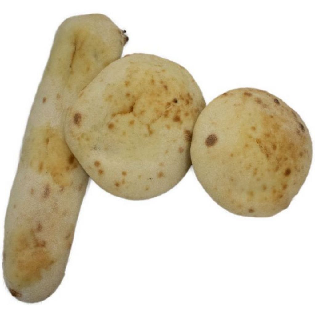 Puccia Multicereali Tonda 15cm 150g