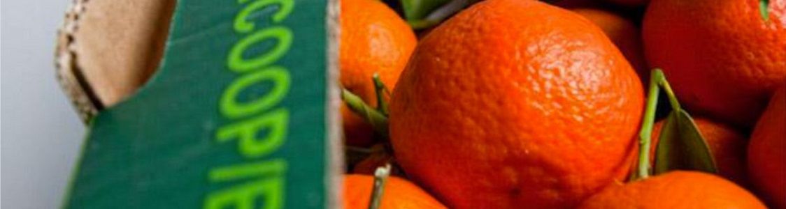 Goel Bio (Gestito dal GAS Atuttogas)