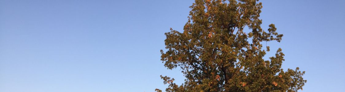 CA NOVA FARMLAB SOCIET&Agrave; AGRICOLA