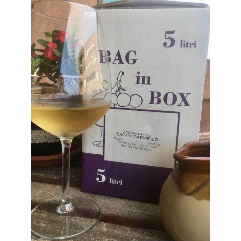 Vino bianco sfuso Trebbiano