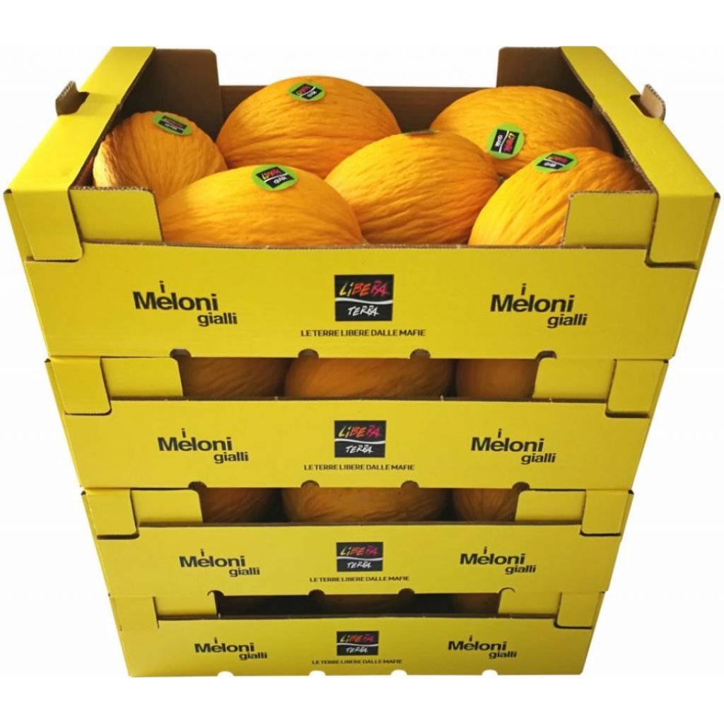 Meloni Gialli Biologici - Cassetta da 15 Kg (Colli da 48)