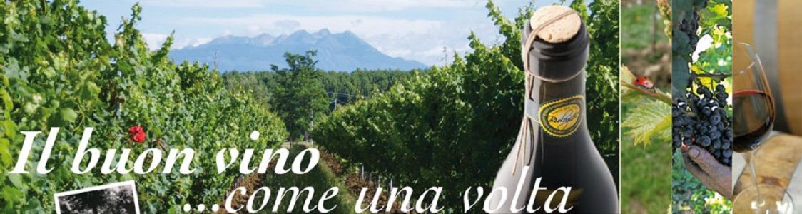 Azienda Agricola Le Baite