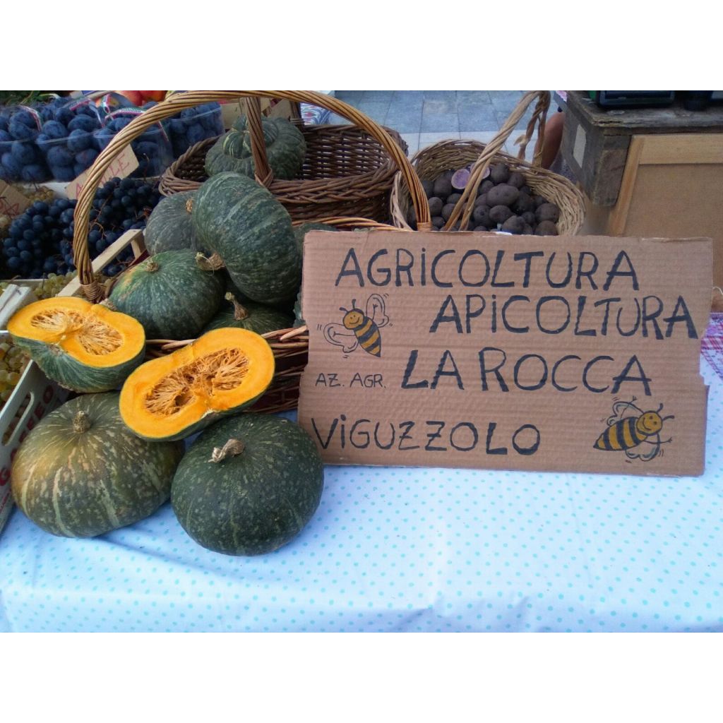 Zucca Delica