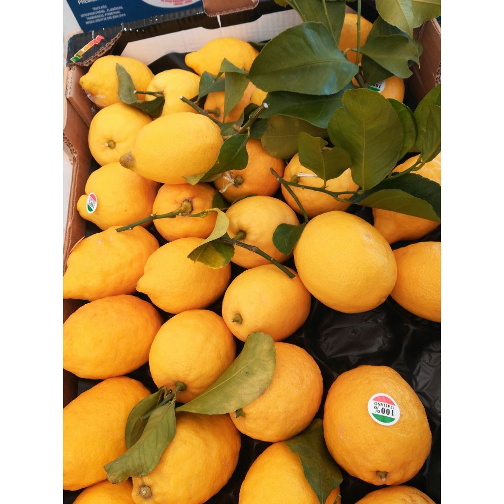 Limoni non trattati