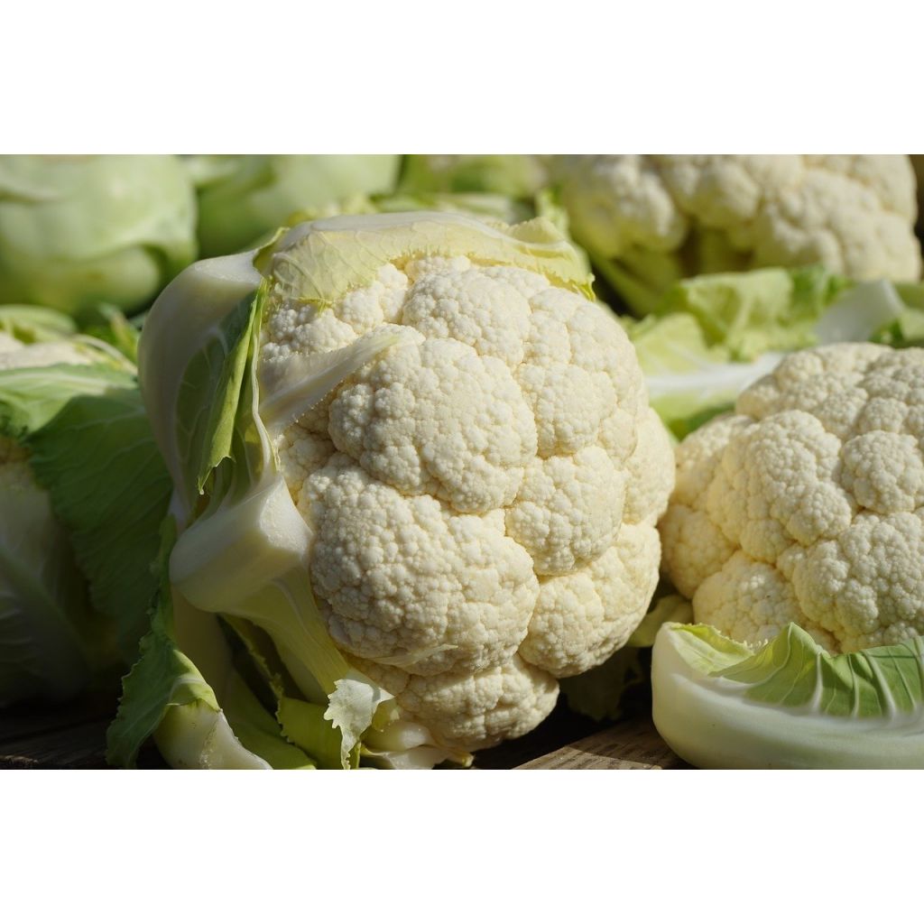 Cavolfiore bianco