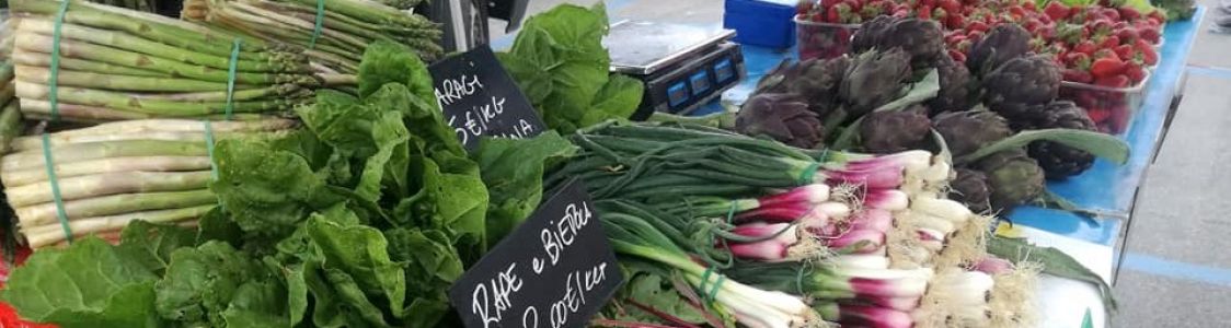 Rizoma di Montevecchi Martina