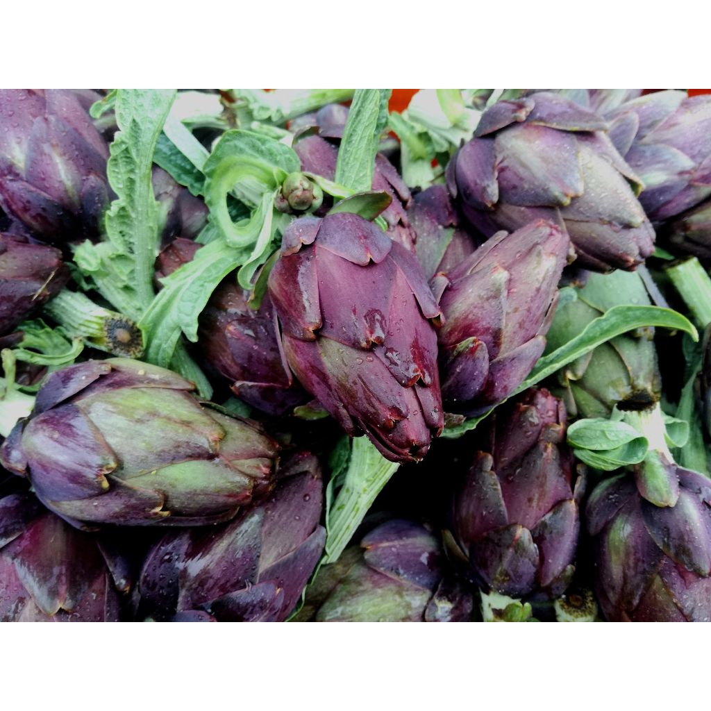 Carciofini per sott'olio