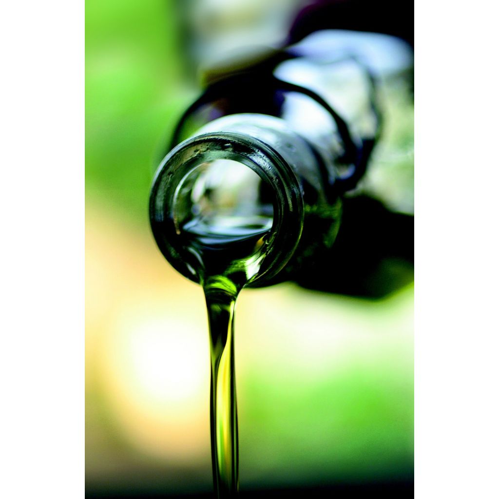 Olio extravergine d'oliva 3 LT