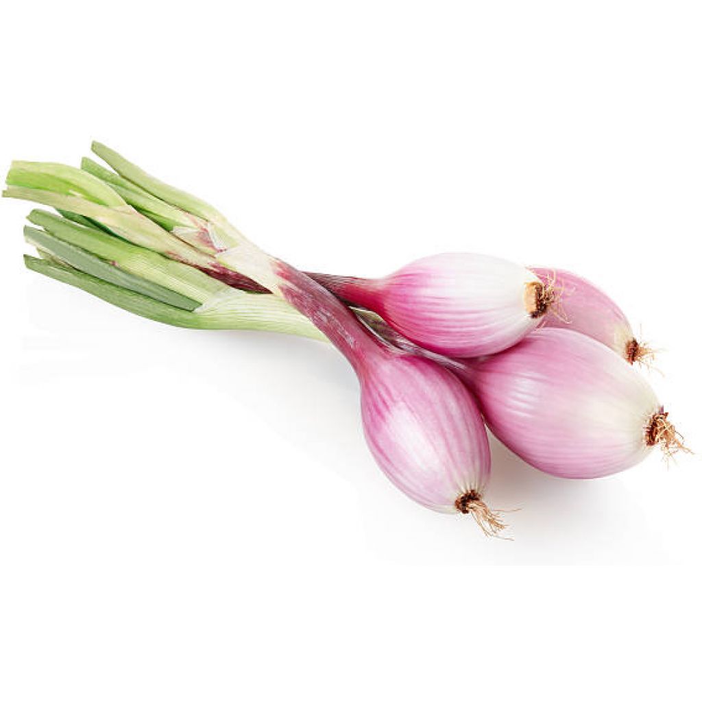 Cipolla di Tropea fresca a mazzi