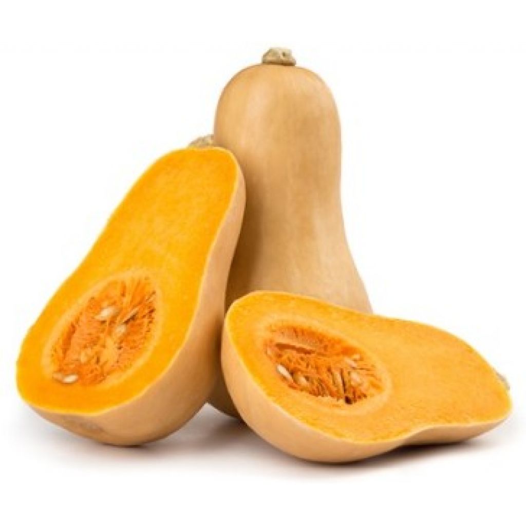 Zucca Butternut
