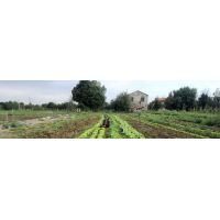 69608289_2402646849785162_5942103776755187712_o