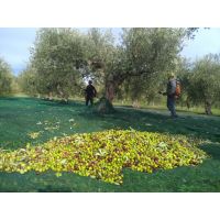 whatsapp image 20201104 at 14.49.24