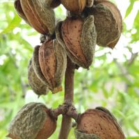 img_20220821_152721_002