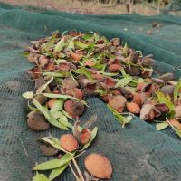 img_20220829_162850_175