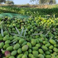 img_20221106_003458_327