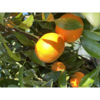 d87fdde7944540c9873694b4097735e9